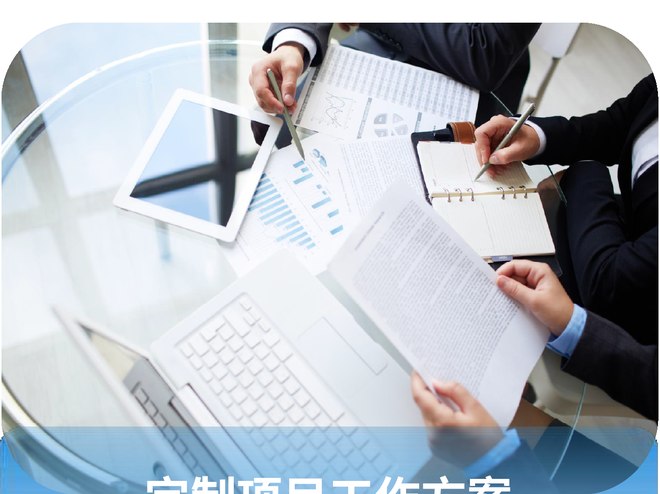 定制项目工作方案
